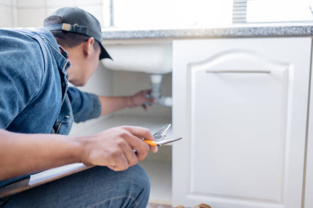 Best Plumbing Inspection Services  in Chaffee, MO
