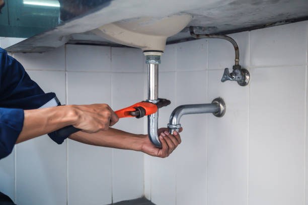 Best Commercial Plumbing Services  in Chaffee, MO