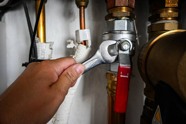 Best Affordable Plumber Near Me  in Chaffee, MO